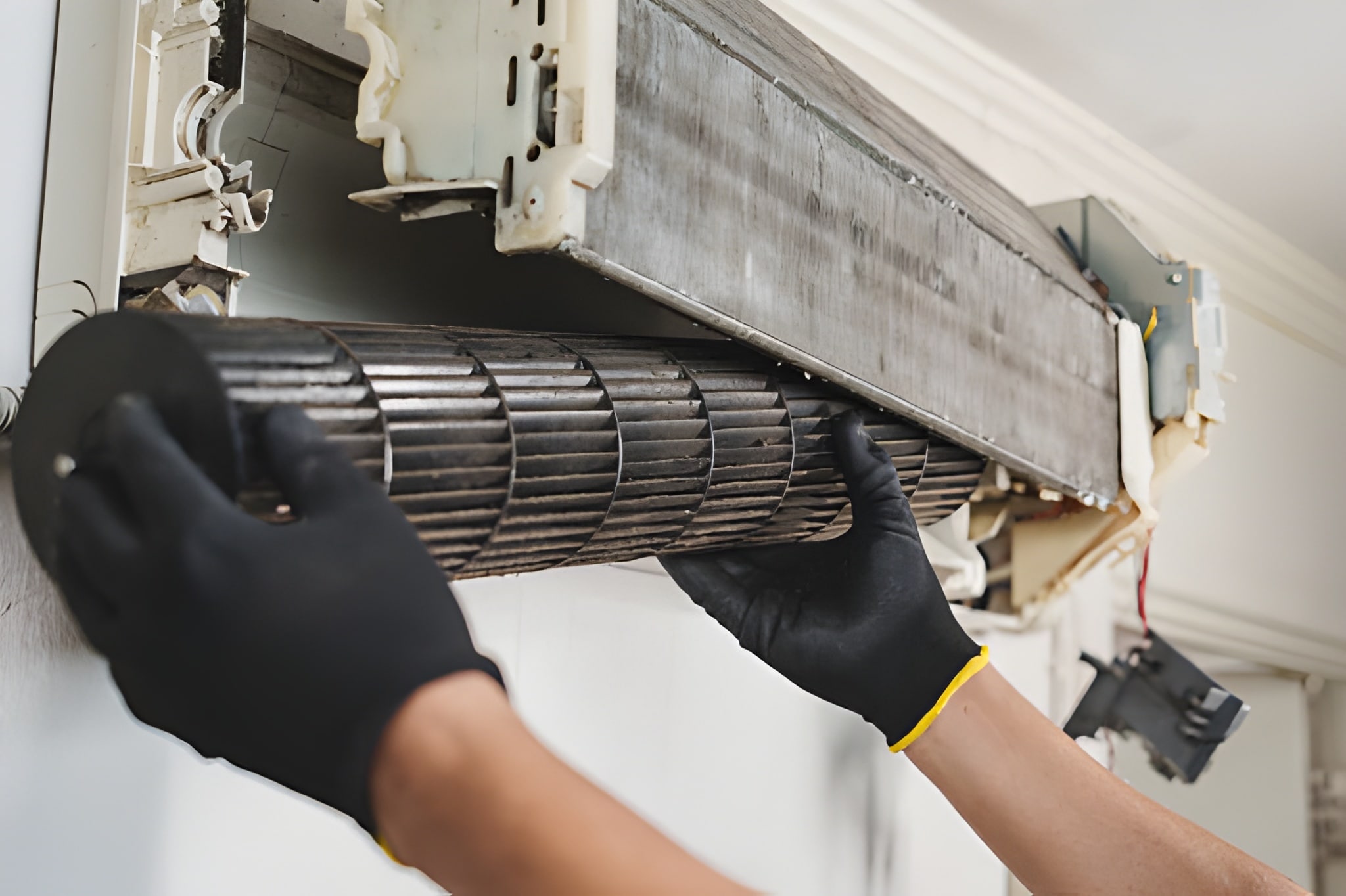 Blower Motor Cleaning