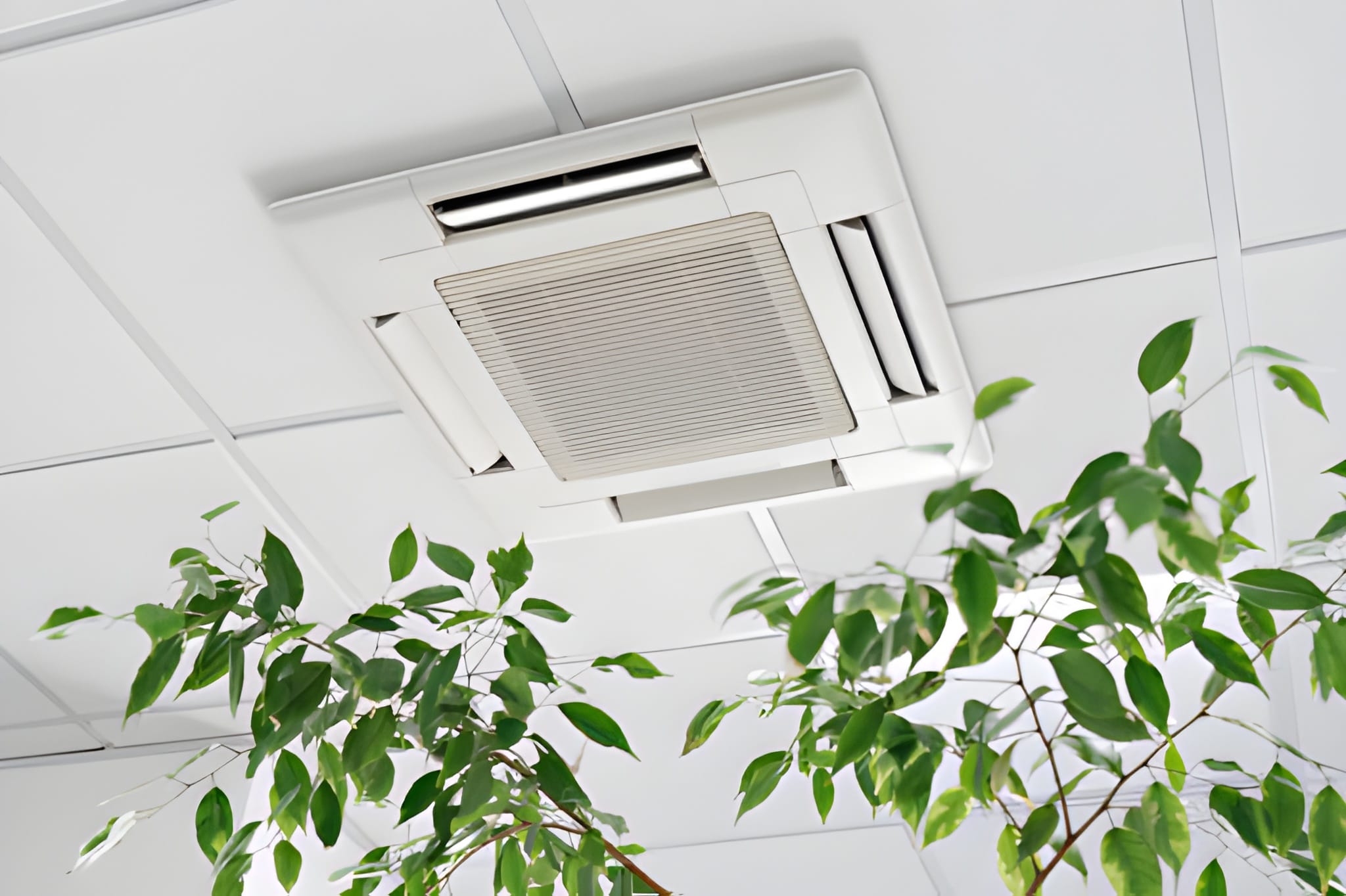 Indoor Air Quality Services