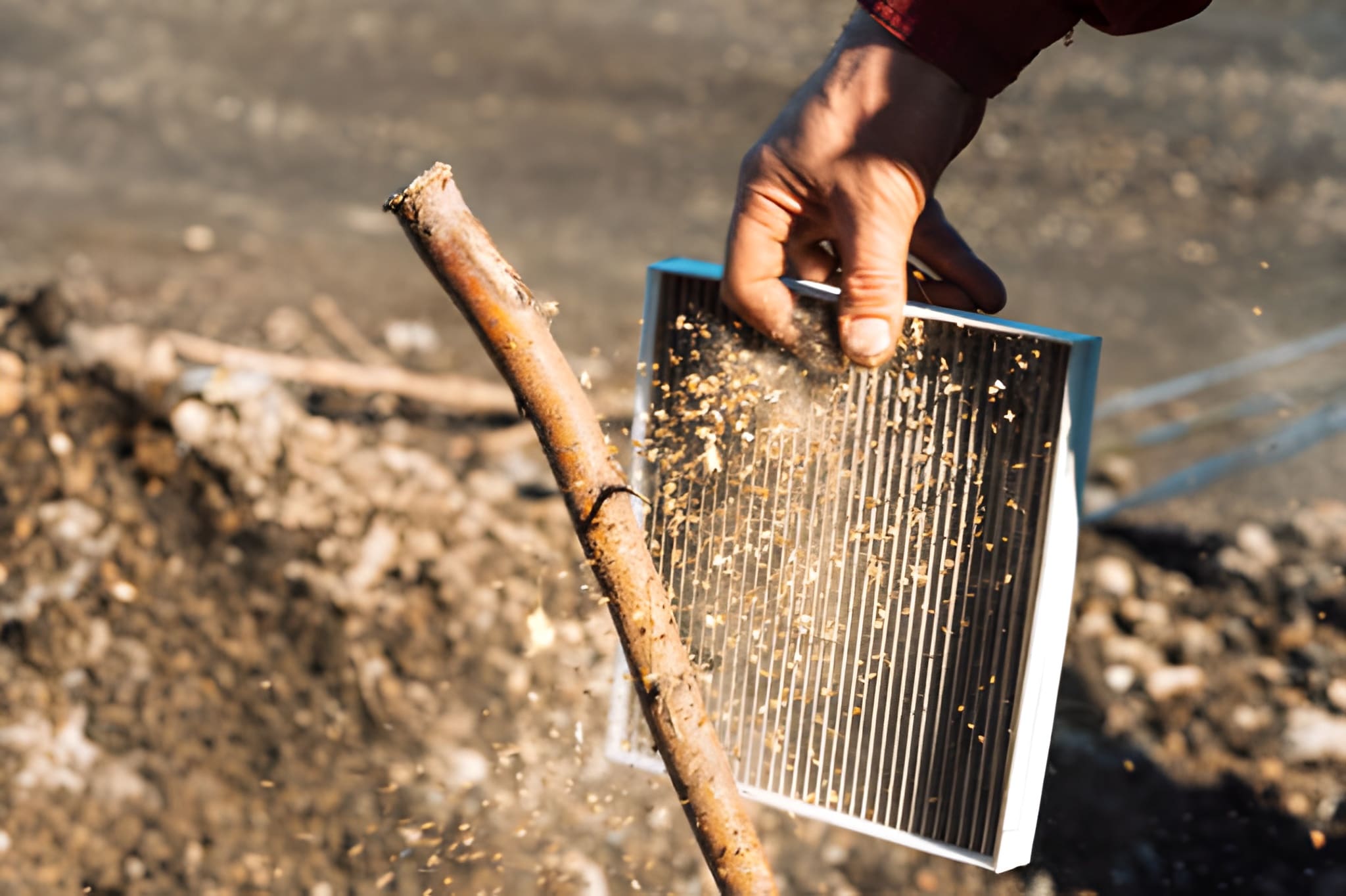 Mold & Allergen Removal