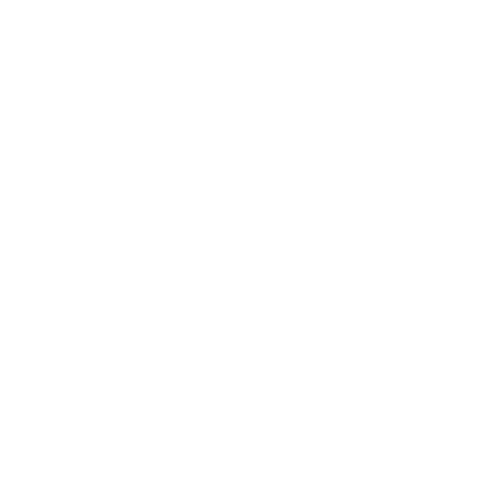 icon-9.png
